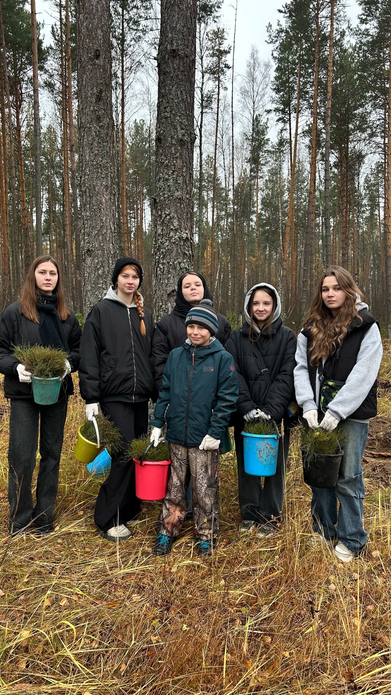 В рамках лесовосстановления  учащимися 9А класса была осуществлена посадка деревьев в лесном массиве Первомайского участкового лесничества ГКУ РМ «Ковылкинское территориальное лесничество»..